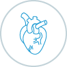 Cardiology